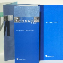 SeeBeyond Annual Report 2001